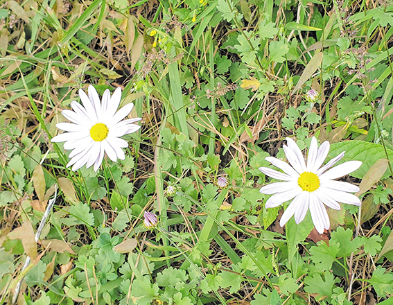 구절산 출렁다리 비경 속으로 | 고성신문